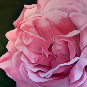 Pink Rose by ZanOrtonArt