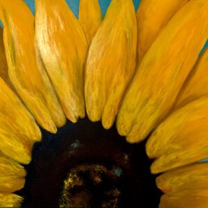 Yellow Sunflower by ZanOrtonArt