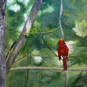 Red Cardinal by ZanOrtonArt